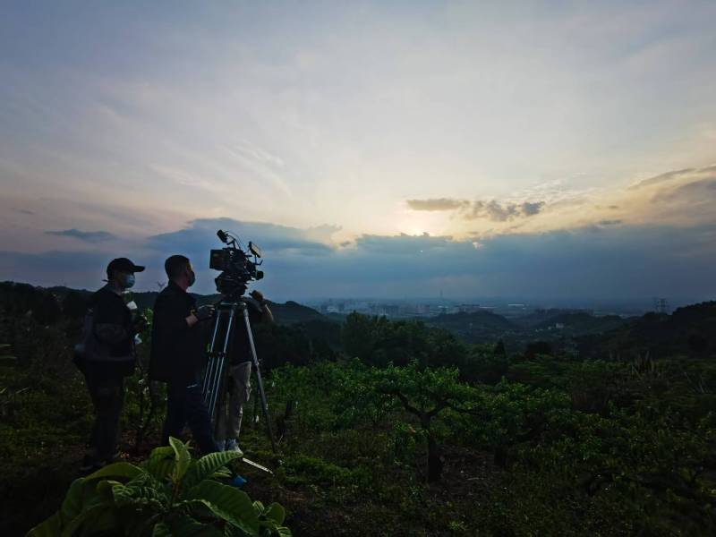 聚焦大悟县产品宣传视频拍摄公司，用专业实力铸就品牌传播传奇