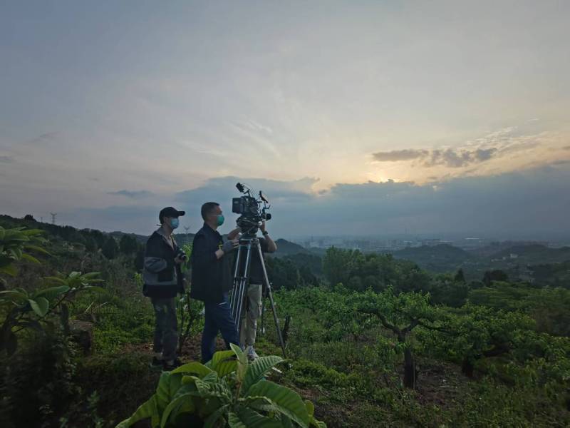 创意破圈！大悟县电商产品宣传视频用故事化叙事引爆流量