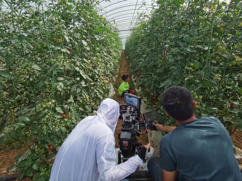 大悟县产品宣传视频拍摄公司进阶指南，助力品牌抢占传播高地